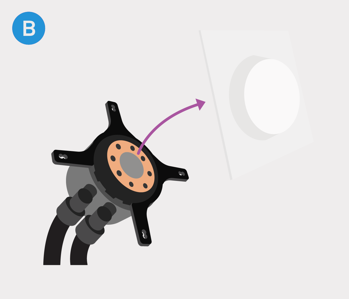 Artboard_67_copy_5_2x.png