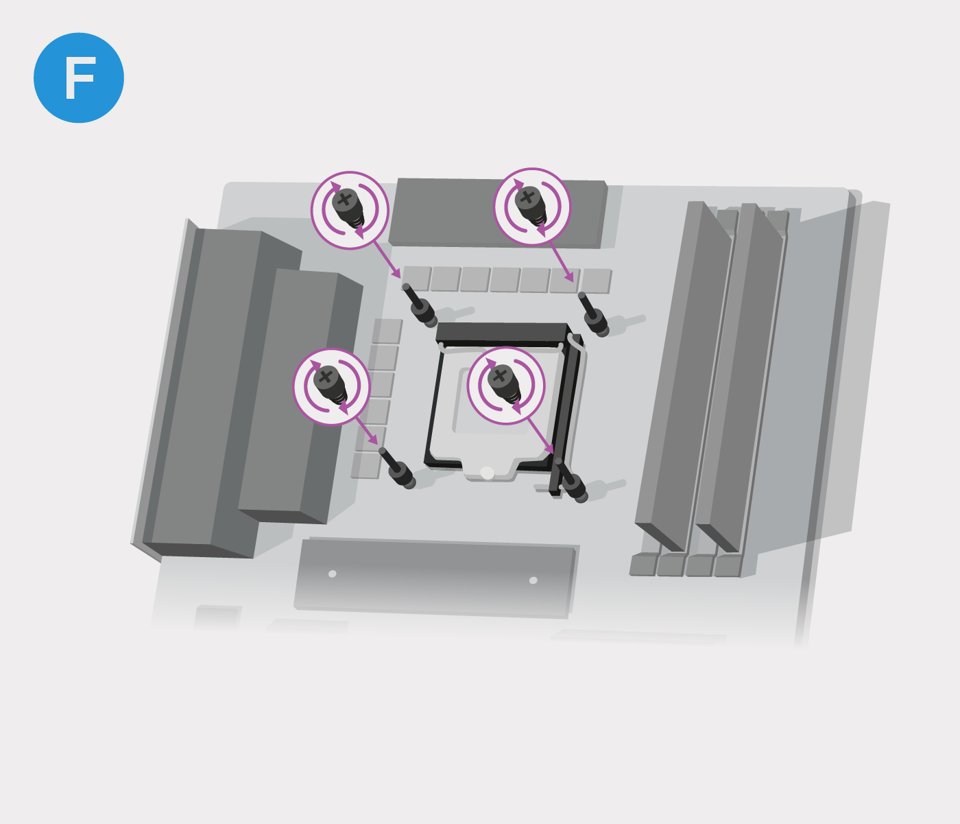 Artboard_67_copy_12_2x.png